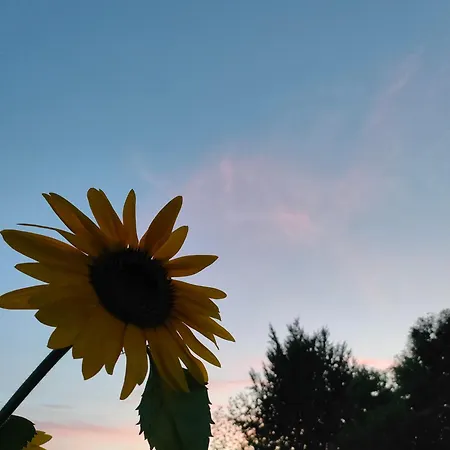 Frühstückspension L'oasi Di Mario Pinerolo