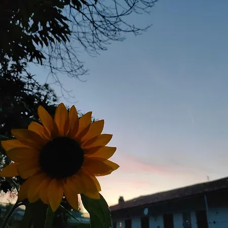 L'oasi Di Mario Frühstückspension Pinerolo