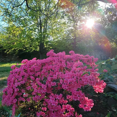 L'oasi Di Mario Pinerolo