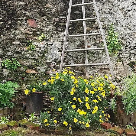 L'oasi Di Mario Frühstückspension Pinerolo