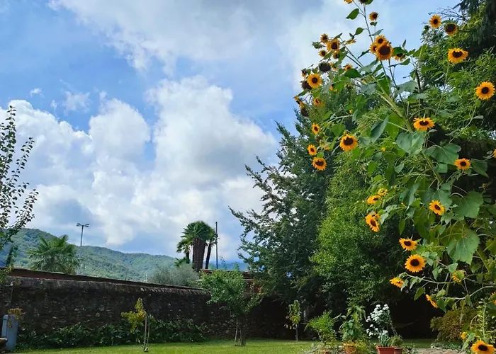 L'oasi Di Mario Pinerolo