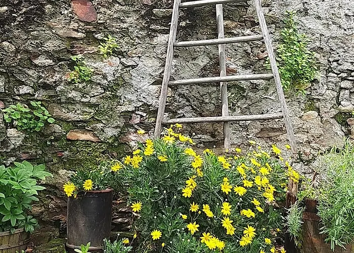 L'oasi Di Mario Bed & Breakfast Pinerolo