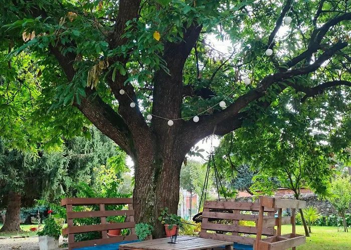 L'oasi Di Mario 3* Pinerolo